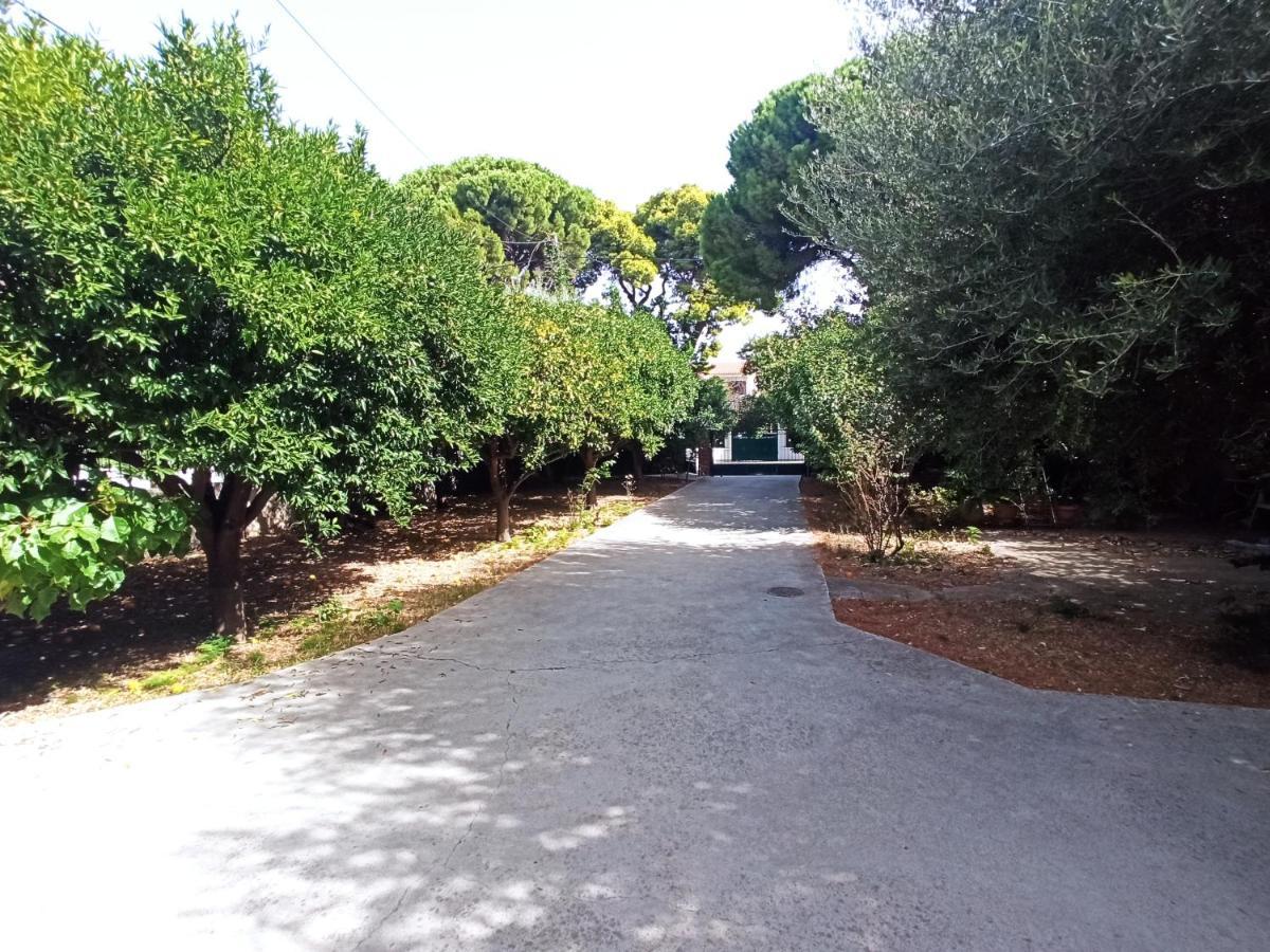 דירות Σπίτι Στο Ρίο Πατρών Με Κήπο - Detached House In Rio With Garden מראה חיצוני תמונה