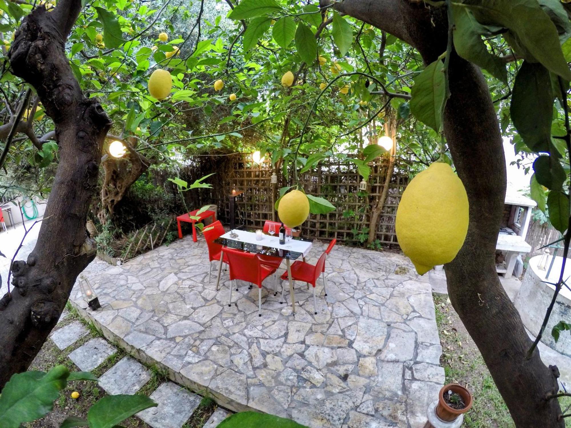 דירות Σπίτι Στο Ρίο Πατρών Με Κήπο - Detached House In Rio With Garden מראה חיצוני תמונה